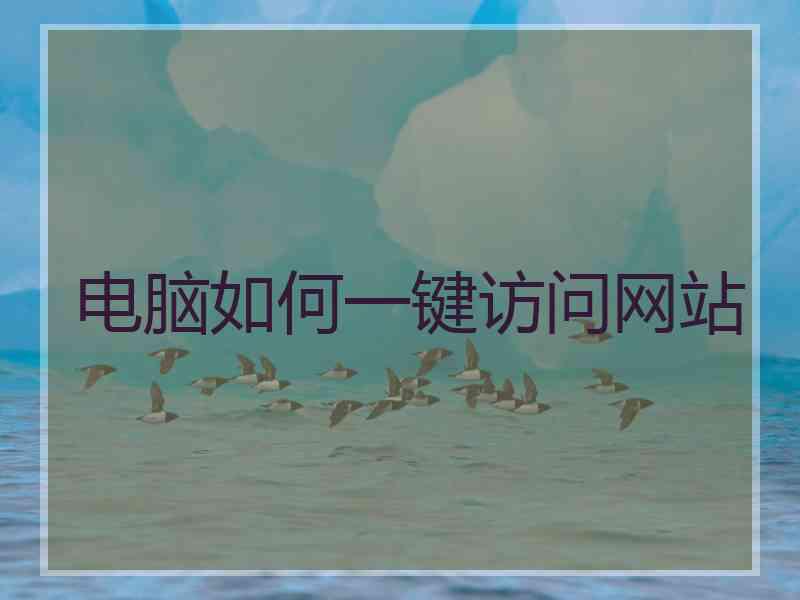 电脑如何一键访问网站