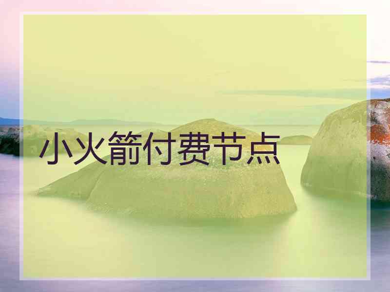 小火箭付费节点