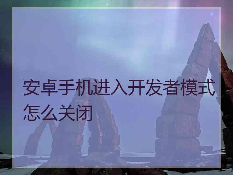 安卓手机进入开发者模式怎么关闭