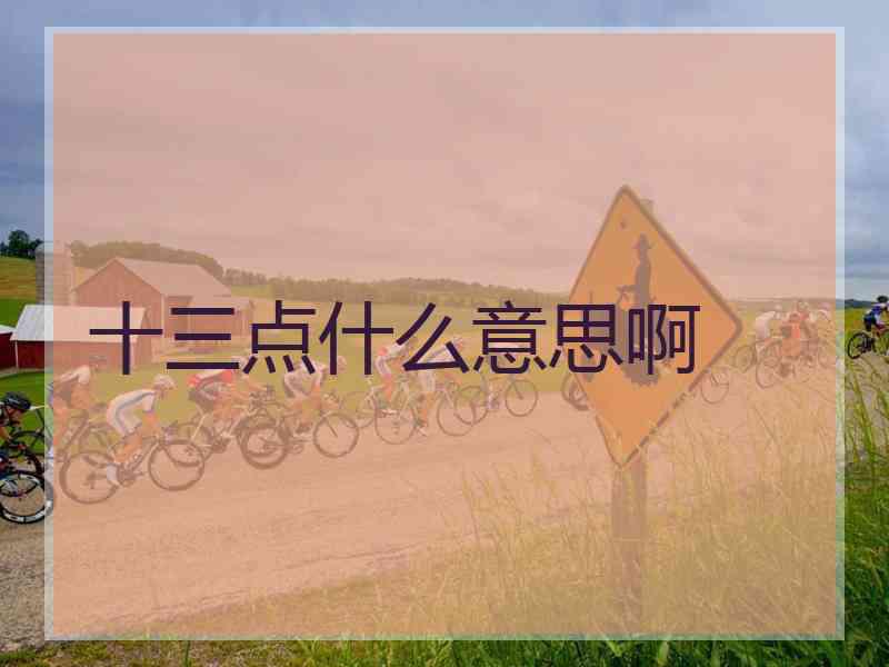十三点什么意思啊
