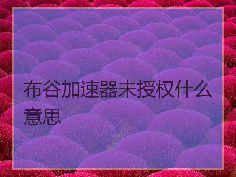布谷加速器未授权什么意思