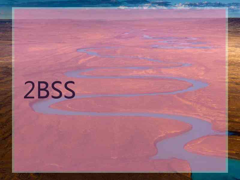 2BSS