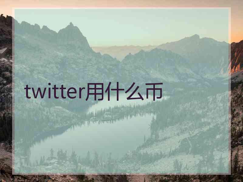 twitter用什么币