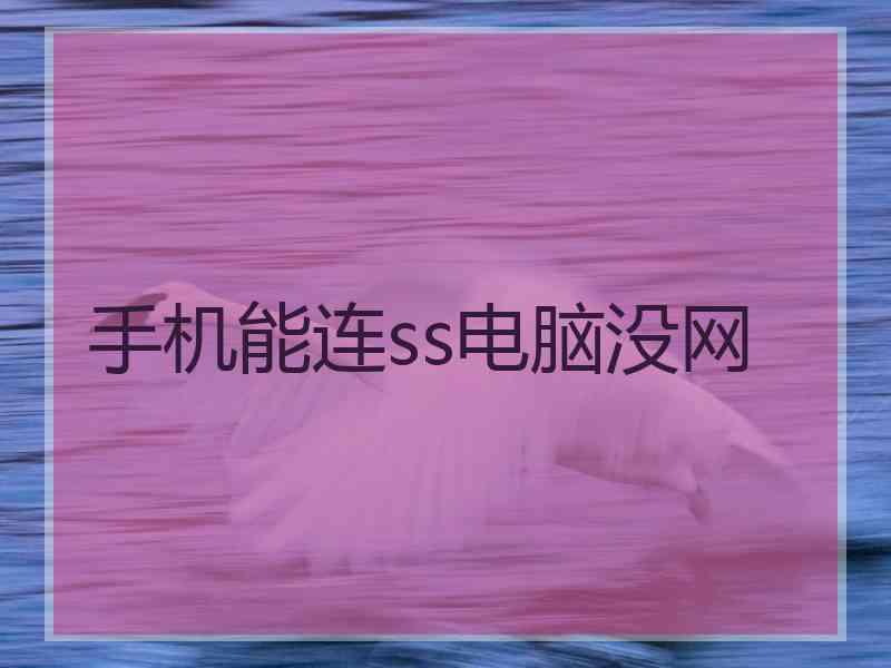 手机能连ss电脑没网