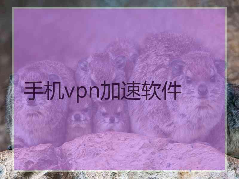 手机vpn加速软件