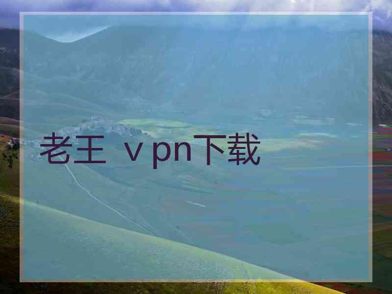 老王 ⅴpn下载