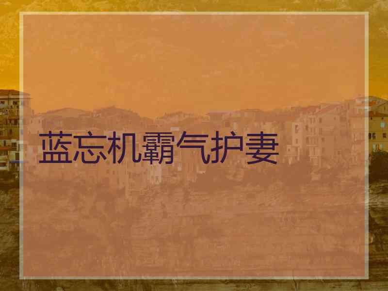 蓝忘机霸气护妻