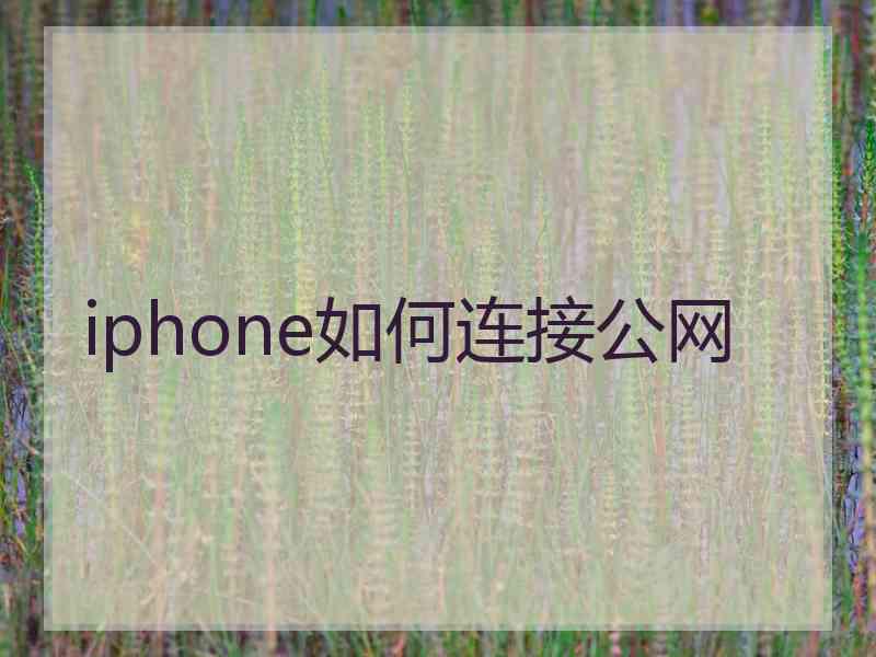 iphone如何连接公网
