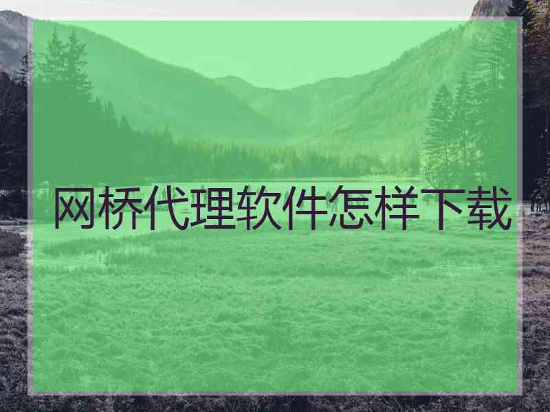 网桥代理软件怎样下载