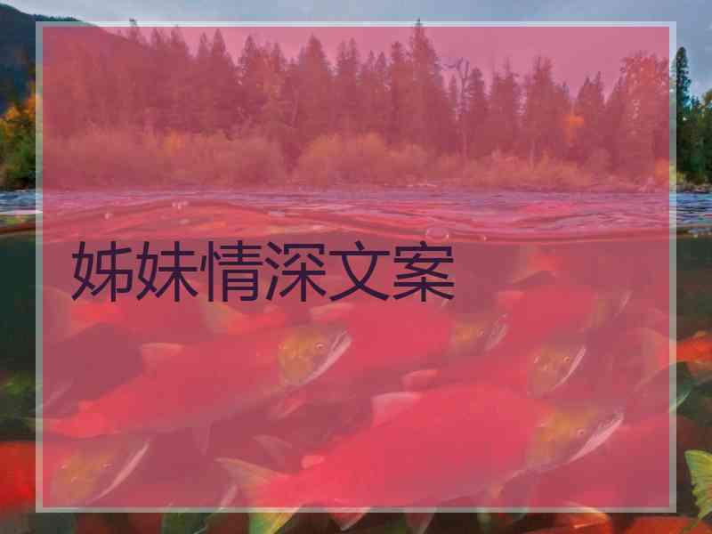 姊妹情深文案