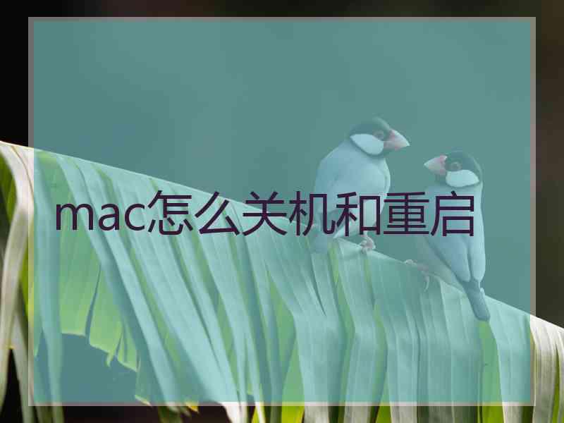 mac怎么关机和重启