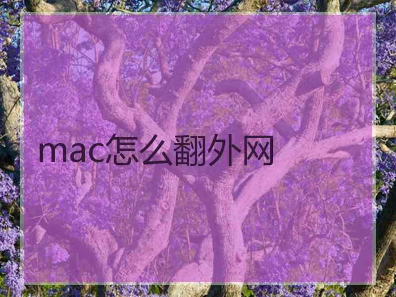 mac怎么翻外网