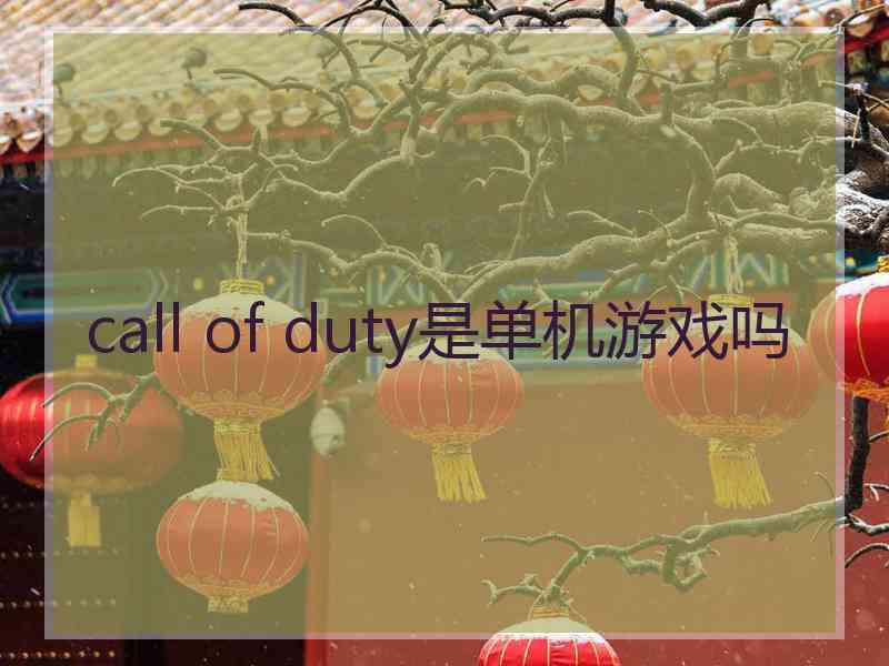 call of duty是单机游戏吗