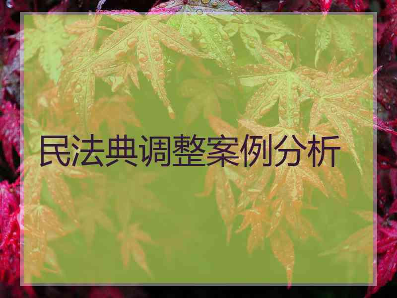民法典调整案例分析