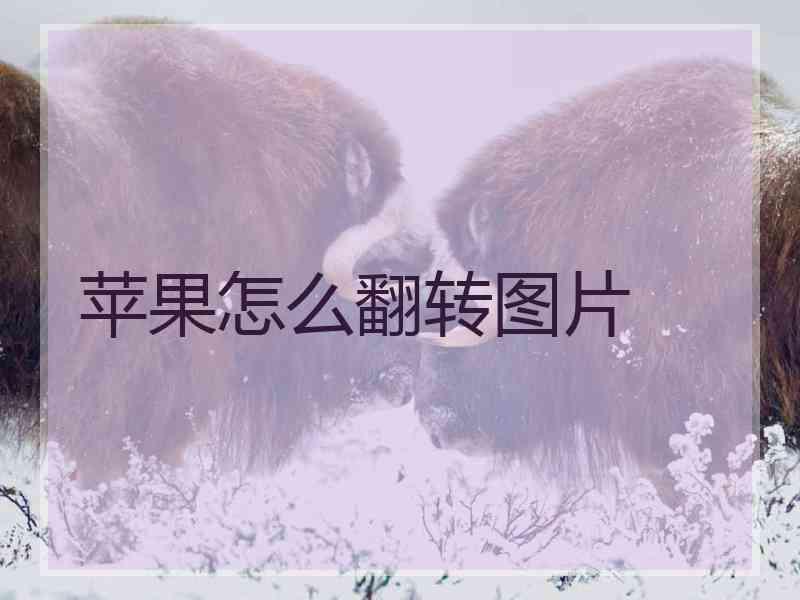 苹果怎么翻转图片