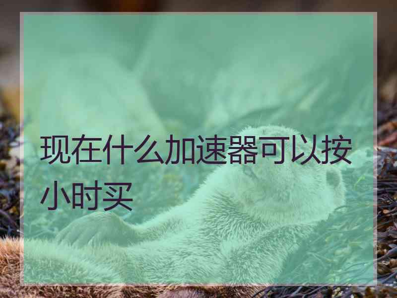 现在什么加速器可以按小时买