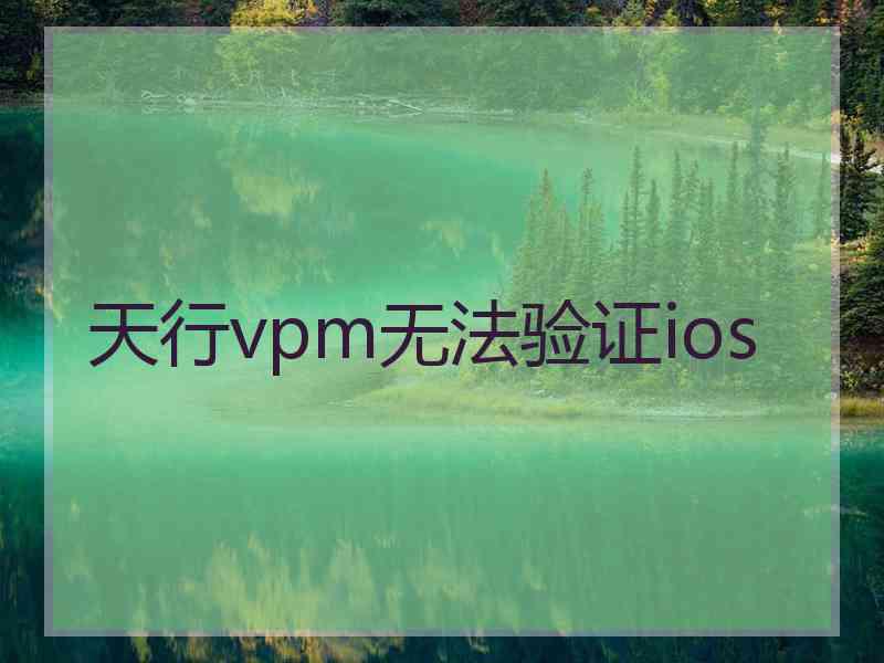 天行vpm无法验证ios