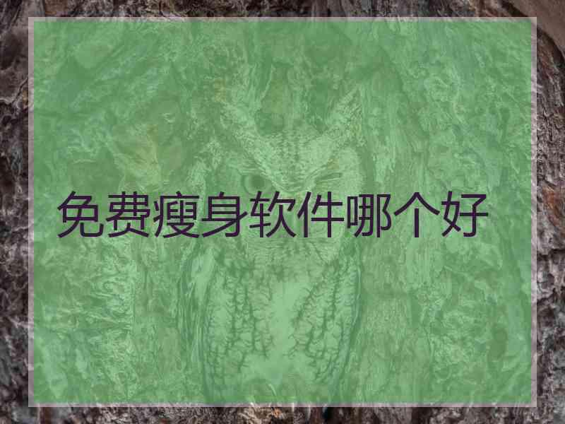 免费瘦身软件哪个好