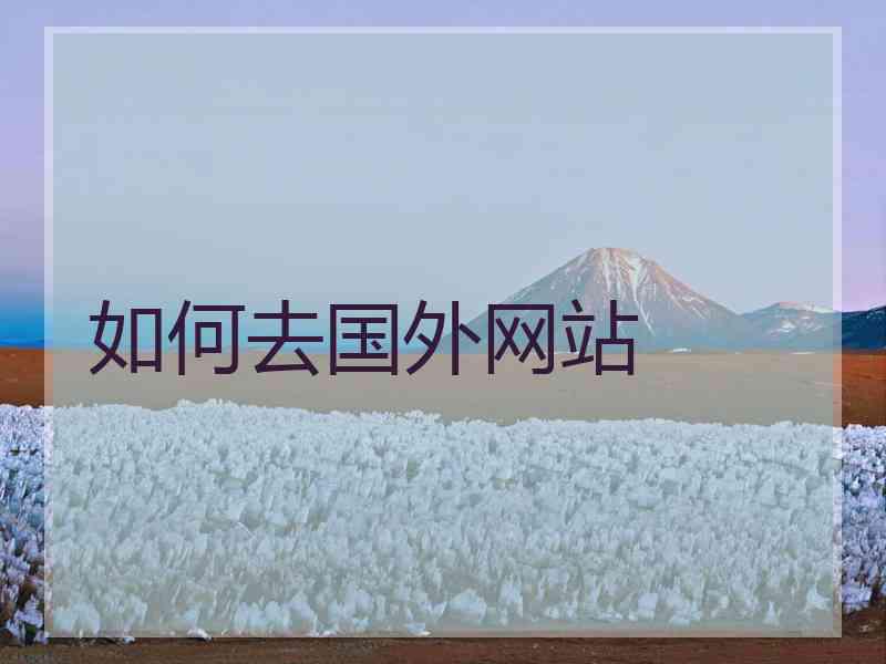 如何去国外网站