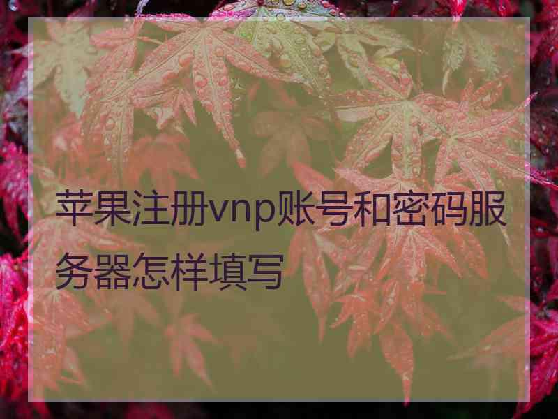 苹果注册vnp账号和密码服务器怎样填写