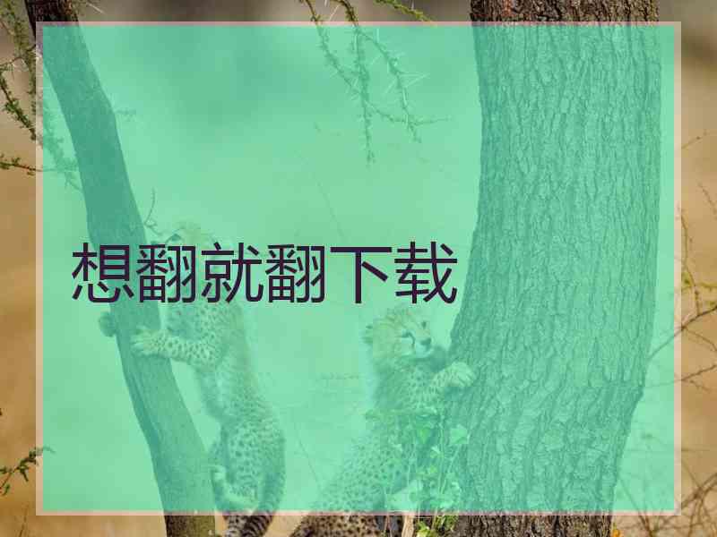想翻就翻下载