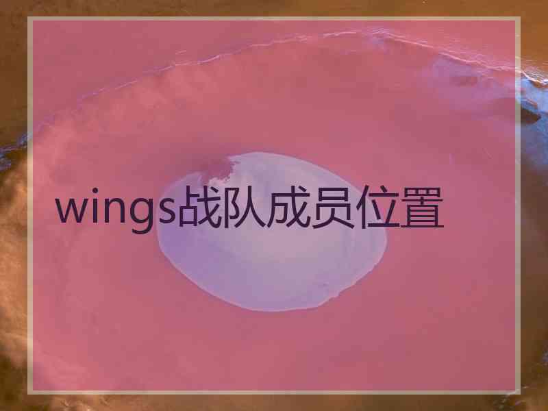 wings战队成员位置