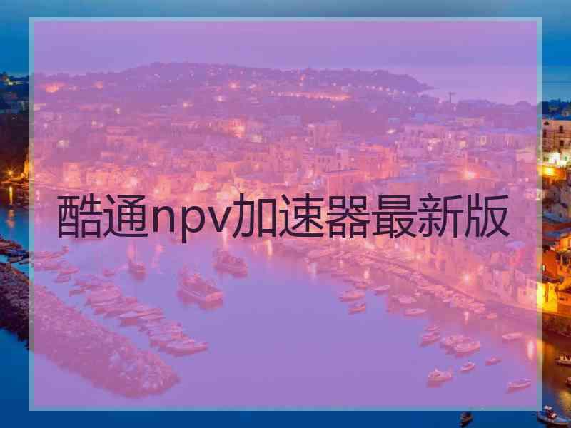 酷通npv加速器最新版