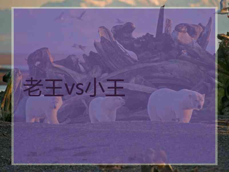 老王vs小王