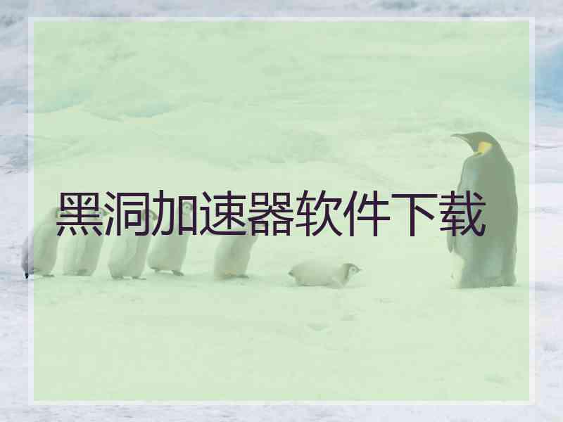 黑洞加速器软件下载