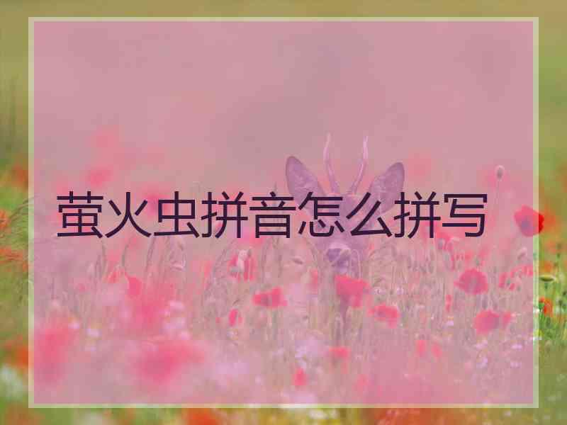 萤火虫拼音怎么拼写