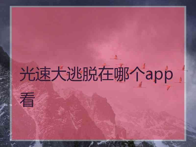 光速大逃脱在哪个app看