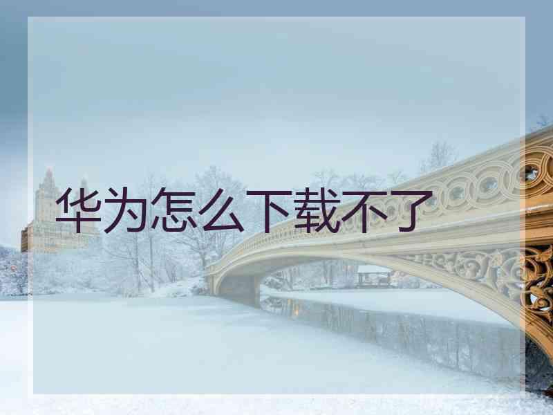 华为怎么下载不了