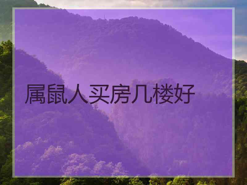 属鼠人买房几楼好