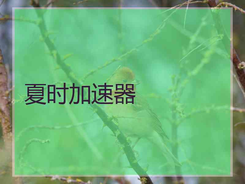 夏时加速器