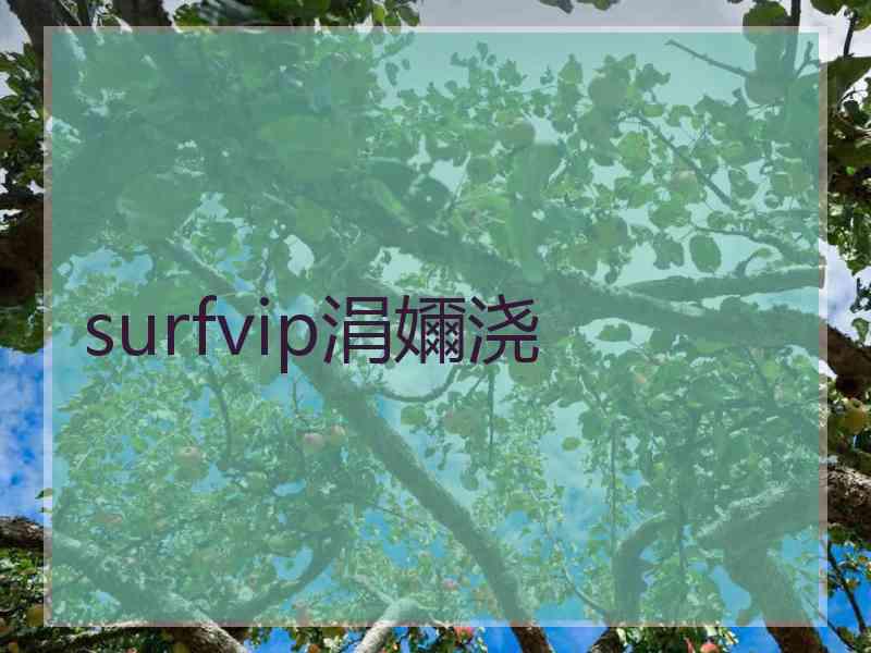 surfvip涓嬭浇