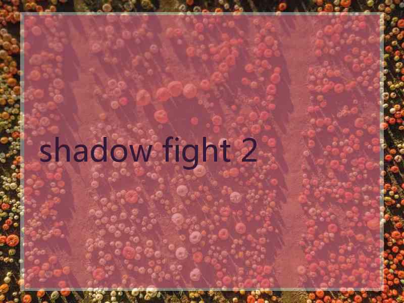 shadow fight 2