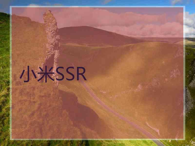 小米SSR