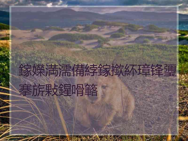 鎵嬫満濡備綍鎵撳紑璋锋瓕搴旂敤鍟嗗簵