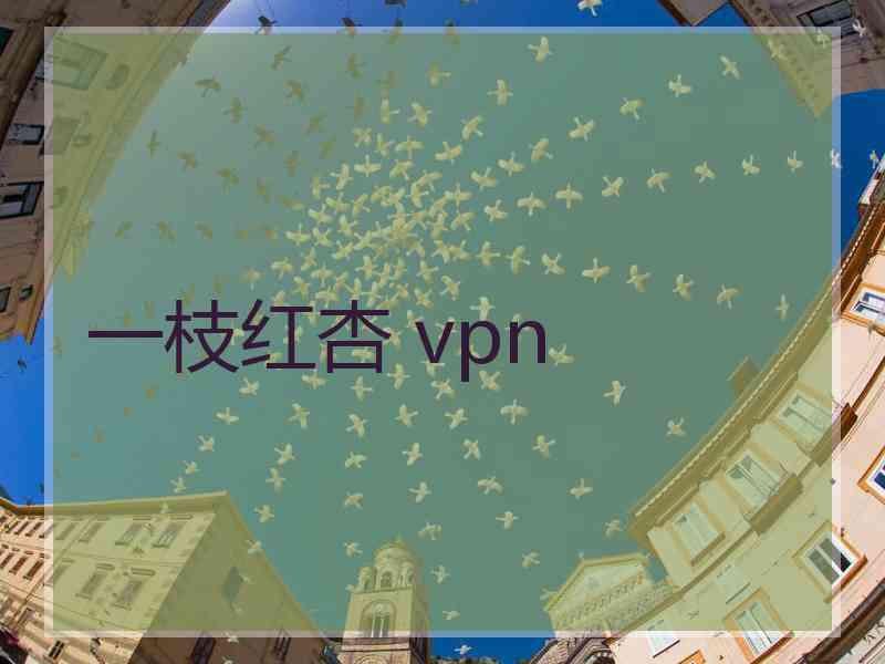 一枝红杏 vpn