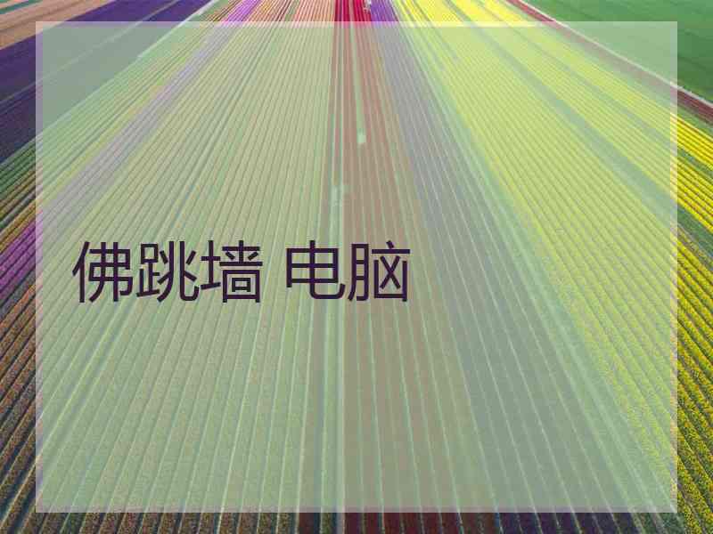 佛跳墙 电脑