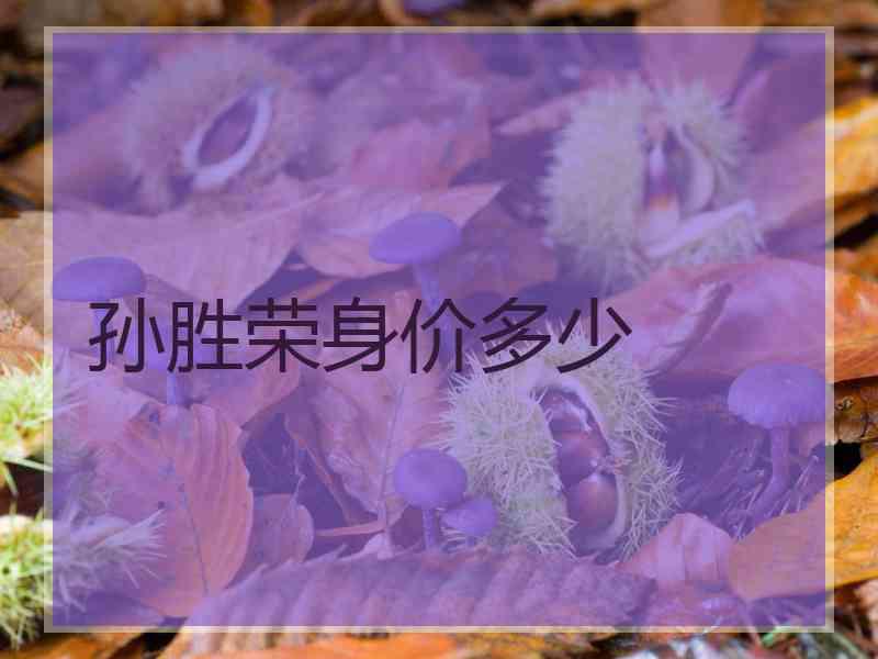 孙胜荣身价多少
