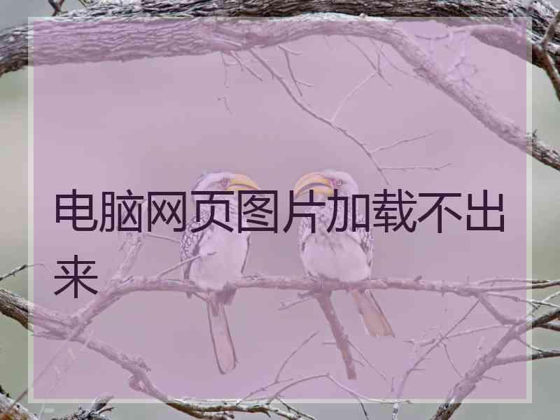 电脑网页图片加载不出来