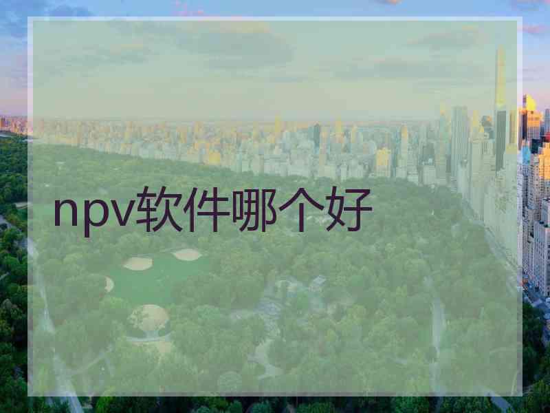 npv软件哪个好