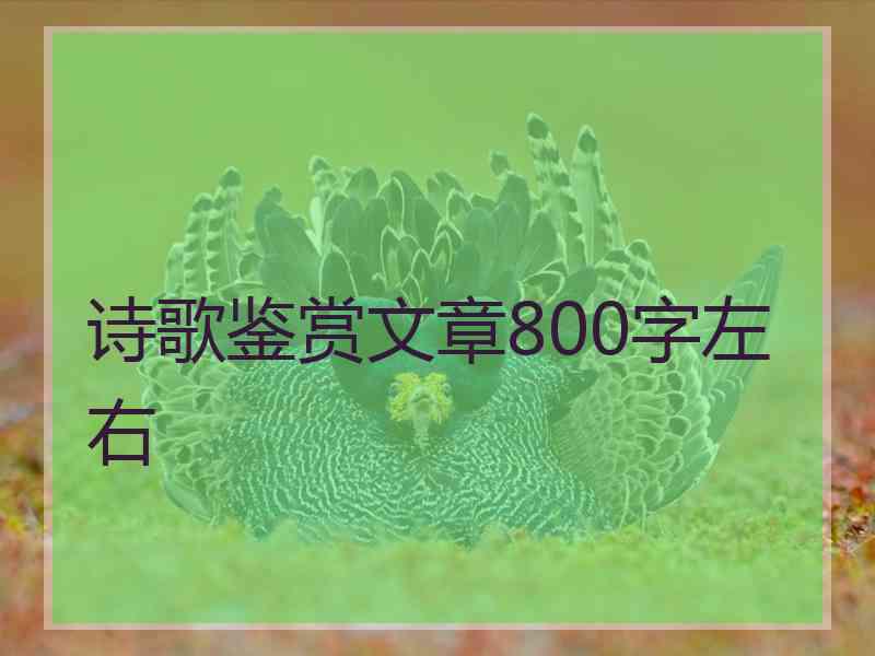 诗歌鉴赏文章800字左右