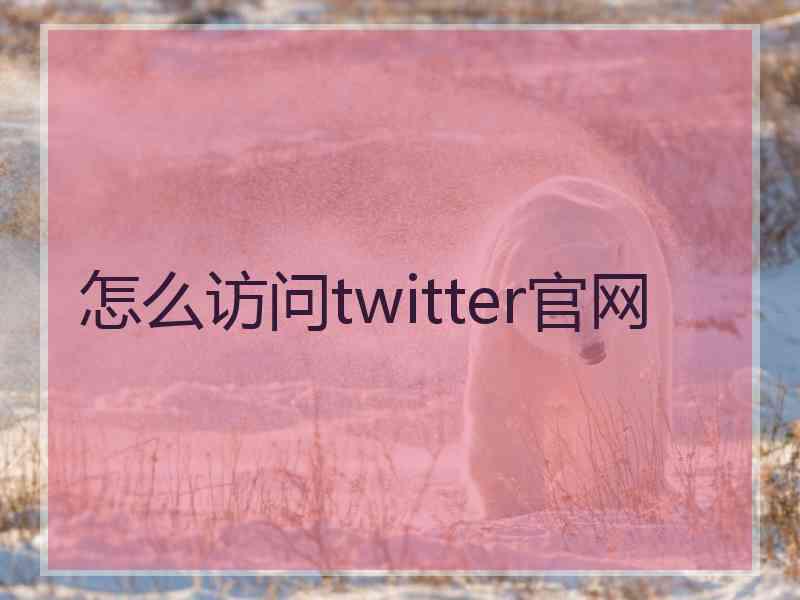 怎么访问twitter官网