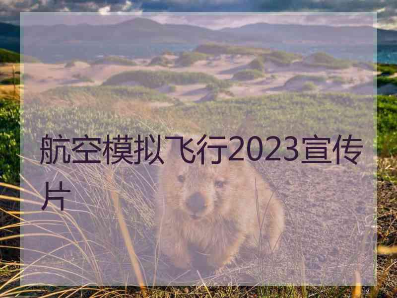 航空模拟飞行2023宣传片