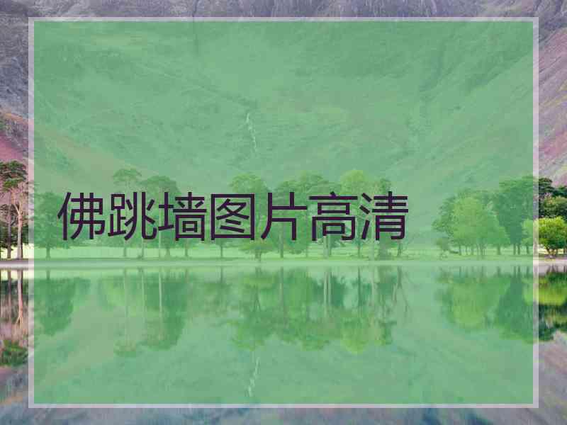 佛跳墙图片高清