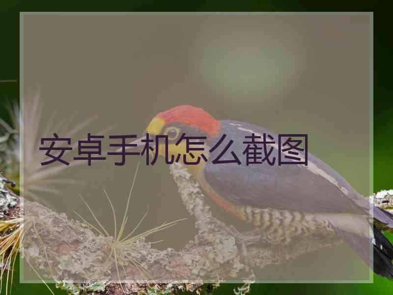 安卓手机怎么截图