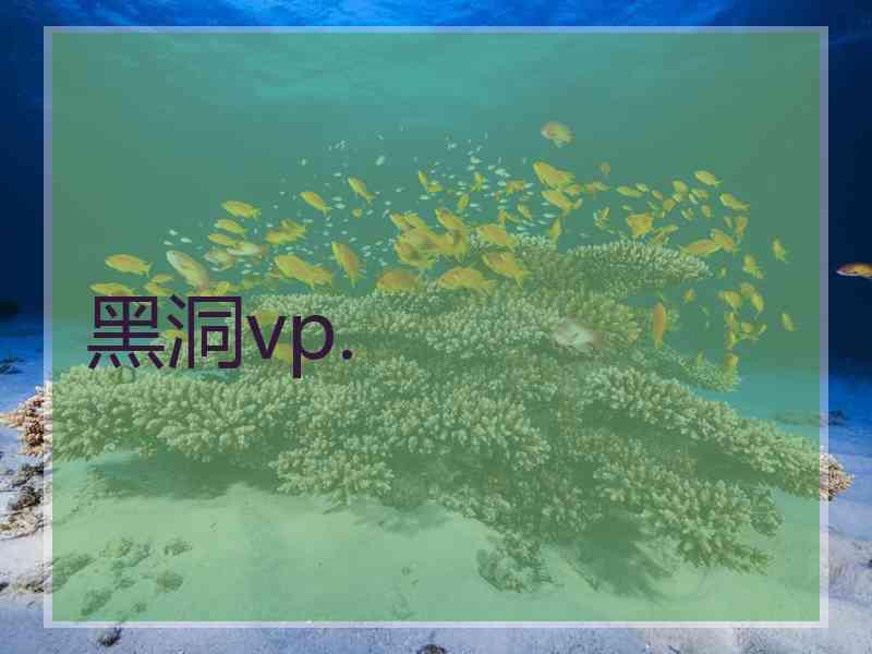 黑洞vp.
