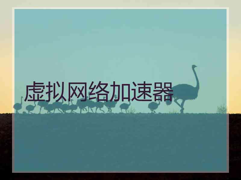 虚拟网络加速器